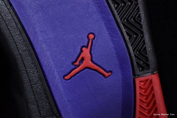 Retro Raptors